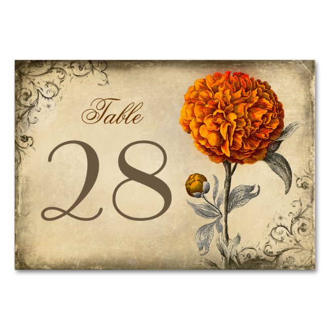 Rustikale Vintage Orange Peony Wedding Tischnummer (Vorderseite)