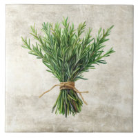 Rustikale Wasserfarbe Kräuter Rosmarin