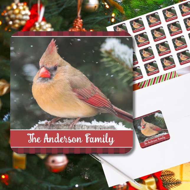 Rustikale Weihnachten Nordischer Kardinal Karierte Quadratischer Aufkleber (This rustic Christmas card seal with customizable text features a pretty female Northern Cardinal.)