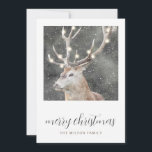 Rustikale Winter Stag String Lights Weihnachtskart Einladung<br><div class="desc">Ein ruhiger Winterschnee im Winter mit leuchtenden Saitenlichtern auf seinen Geweihten und frohe Weihnachten in einem Drehbuch-Schriftart. Eine stilvolle,  moderne rustikale Grußkarte für den Urlaub.</div>