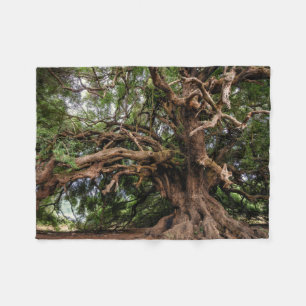 Rustikaler alter Olivenbaum Fleecedecke