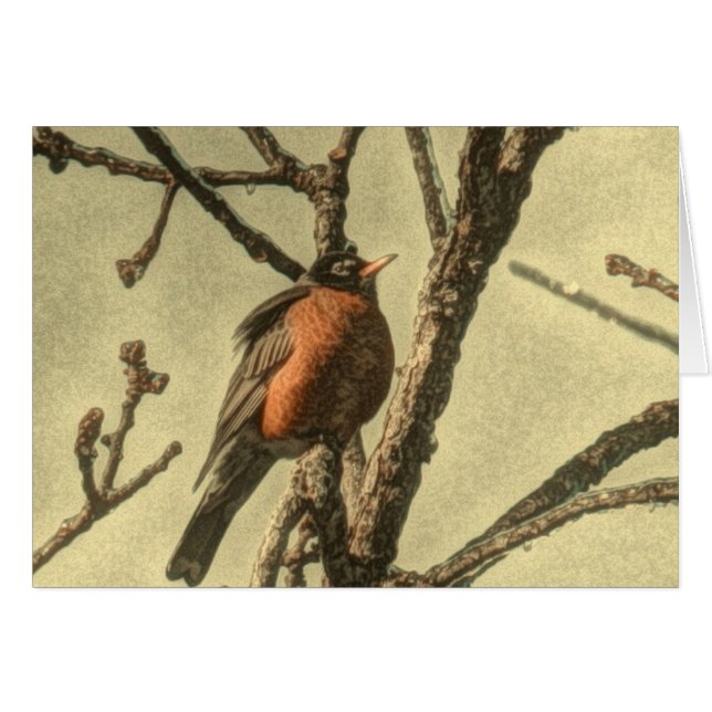 Rustikaler Baum Zweig Michigan Staat Bird Robin (Vorderseite (Horizontal))