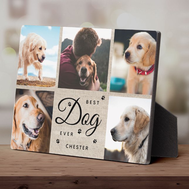 Rustikaler Bester Hund je Memorial Modern Foto Col Fotoplatte (Von Creator hochgeladen)