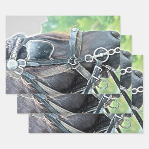 Rustikaler brauner Western Geschenkpapier Set