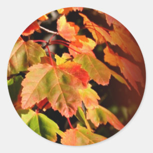 Rustikaler Fall in Liebe Hochzeitsticker für Umsch Runder Aufkleber