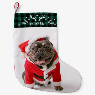 Rustikaler grüner Karo-Photo-Hund Kleiner Weihnachtsstrumpf