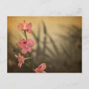 rustikaler Landgarten Rosa Blume Wildblume Postkarte