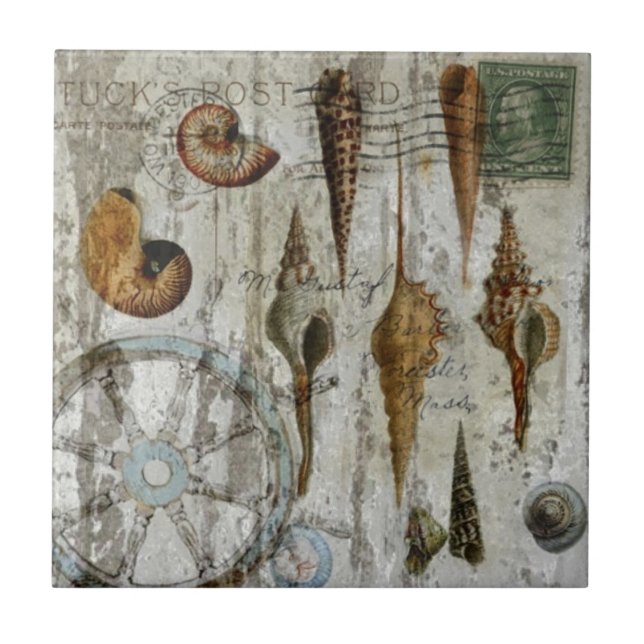 rustikaler rehabilitierter schicker Küstenseashell Fliese (Vorderseite)