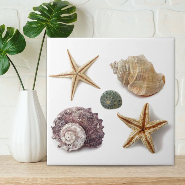 rustikaler Seesterne Fliese (rustic coastal beach chic seashell starfish ceramic tile)
