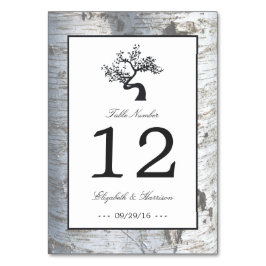 Rustikaler Silberbaum Hochzeitstisch Nr. Tischnummer