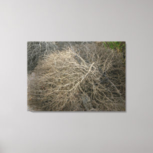 Rustikaler Tumbleweed eingewickelte Leinwand-Kunst Leinwanddruck