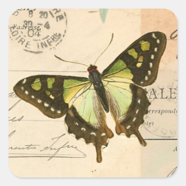 Rustikaler Vintager Schmetterling in grünem Aufkle Quadratischer Aufkleber (Vorderseite)