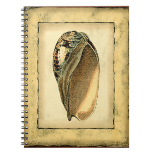 Rustikaler Vintager Seashell Notizblock