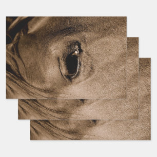 Rustikaler Vintager Western Geschenkpapier Set