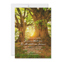 Rustikaler Wald Sommer Bäume Grünland Hochzeit