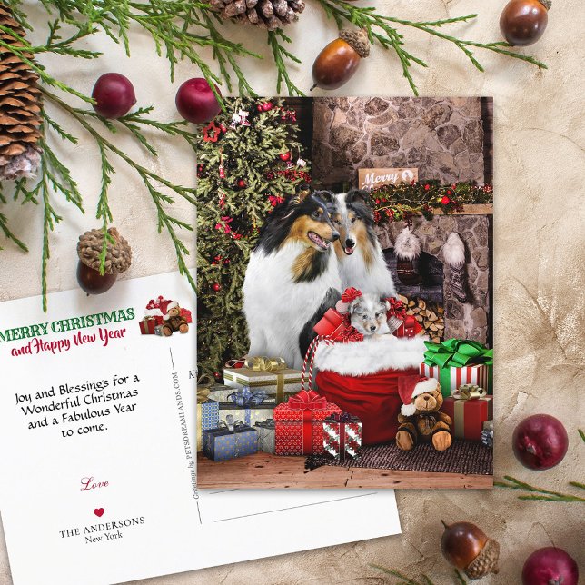 Rustikaler Weihnachtsabend, Rough Collie Hunde - U Postkarte (Von Creator hochgeladen)
