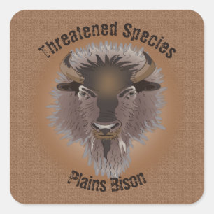 Rustikaler Western Plains Bison Quadratischer Aufkleber