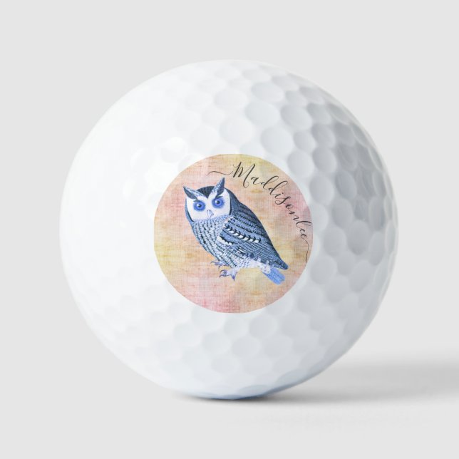 Rustikales Blue Owl Monogram Name Golf Balls Golfball (Vorderseite)