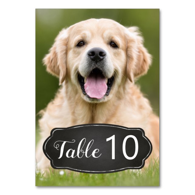 Rustikales Chalkboard Modernes Foto Hochzeit Tischnummer (Vorderseite)