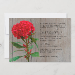 Rustikales Cockscomb Hochzeit Einladungen