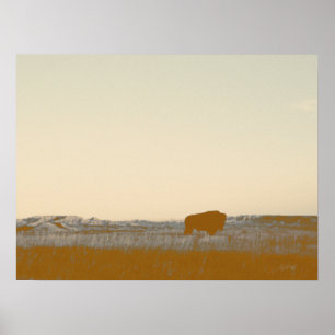 Rustikales einsames Buffalo-Foto aus den Badlands Poster