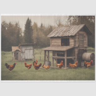 Rustikales Hühnerdekouapge 18 lbs Seidenpapier