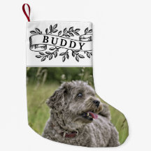 Rustikales Hunde Foto und Name Festivals Band