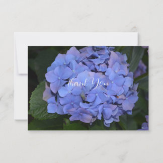 Rustikales Hydrangea Lila Dankeskarte