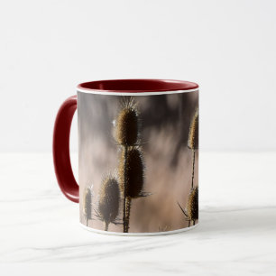 Rustikales Karthäuser-Distel-Trockenpflanzenmuster Tasse