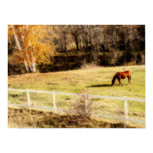 Rustikales Land Herbst Kunst