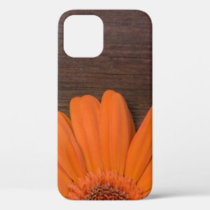 Rustikales Orange Daisy und Barnholz Case-Mate iPhone Hülle