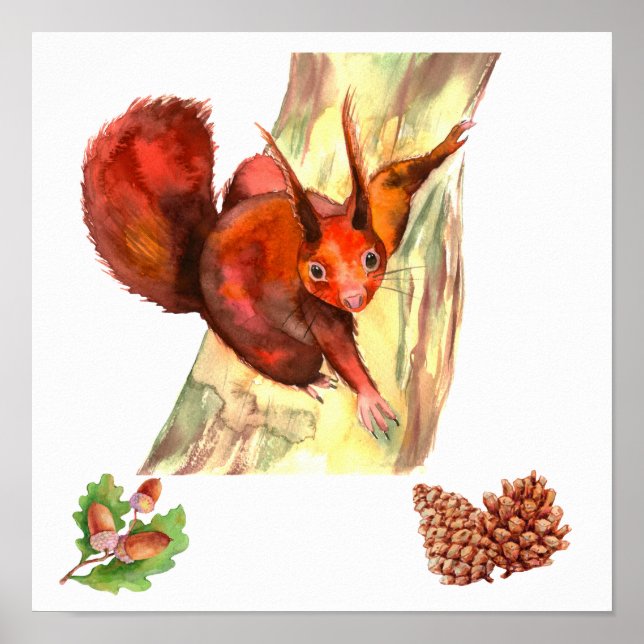 Rustikales Rot Eichhörnchen Eicheln Zirbenzapfen Poster (Vorne)