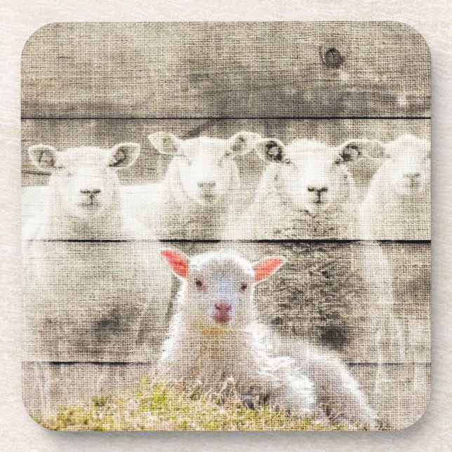 Rustikales Schaf Baby Lamm Jute Getränkeuntersetzer (Vorderseite)