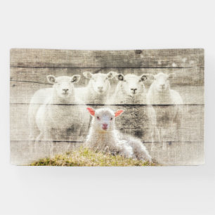 Rustikales Schafspuppel Banner