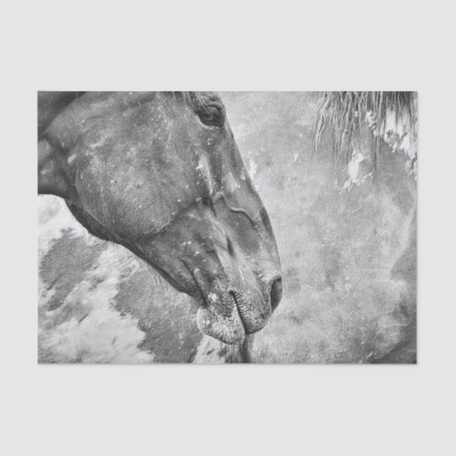 Rustikales Schwarz-Weiß-Dekor Seidenpapier (Vorderseite)