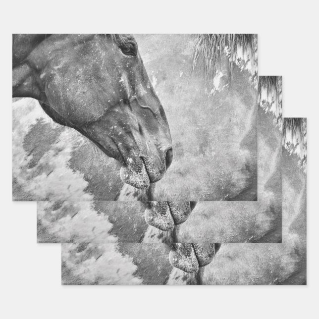 Rustikales Schwarz-Weiß-Dekoupage Geschenkpapier Set (Set)