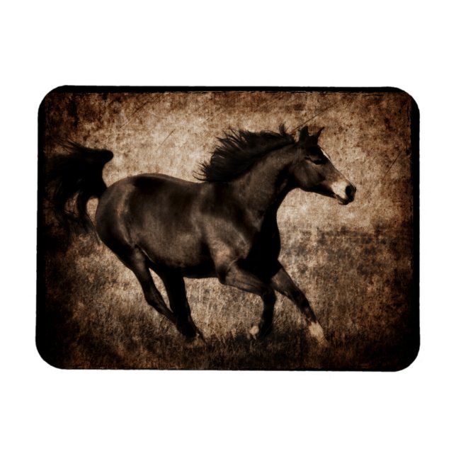 Rustikales Sepia Galloping Pferd Magnet (Horizontal)