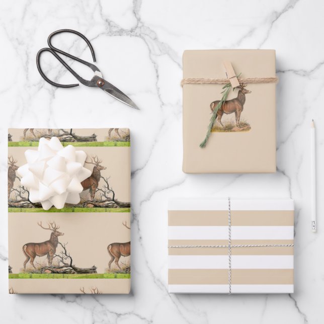Rustikales Stag Deer Geschenkpapier Set (Vorderseite)