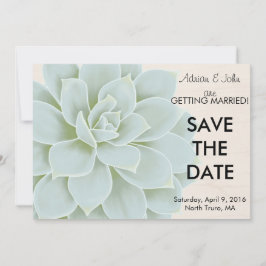 rustikales Sukkulat Save the Date