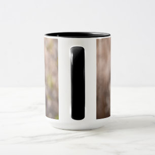 Rustikales Troddel-Kardendistel-Trockenpflanzenmus Tasse