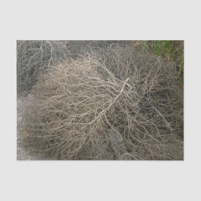 Rustikales Tumbleweed-Seidenpapier Seidenpapier (Vorderseite)