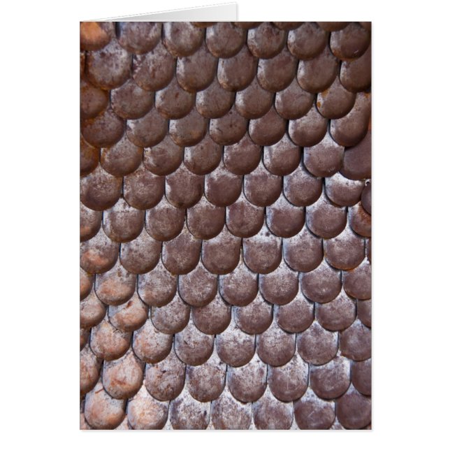 Rüstung im antiken Maßstab (Vorne)