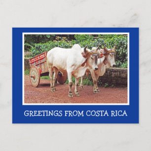 RÜSTUNGEN AUS COSTA RICA/OXCART UND OXEN POSTKARTE