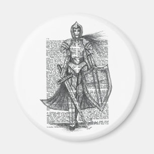 Rüstungsfläche Magnet