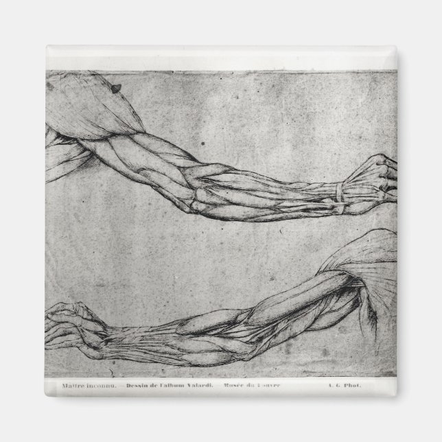 Rüstungsstudie Magnet (Vorne)