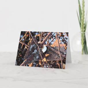 Rusty Junk Pile, Geburtstag Karte