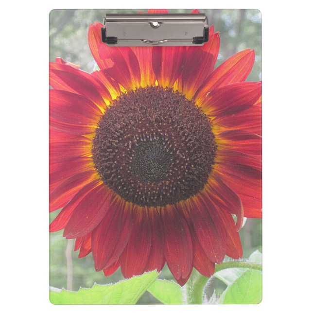 Rusty Red Sunflower Clipboard Klemmbrett (Vorderseite)