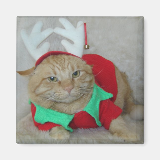 Rusty the Reindeer Elf Magnet (Vorne)