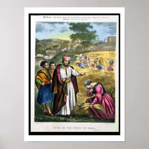 Ruth auf dem Gebiet von Boaz, von einer Bibel Poster