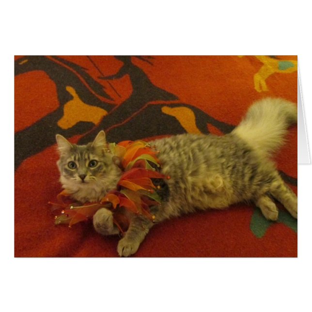 Ruthie die Katze (Vorderseite (Horizontal))